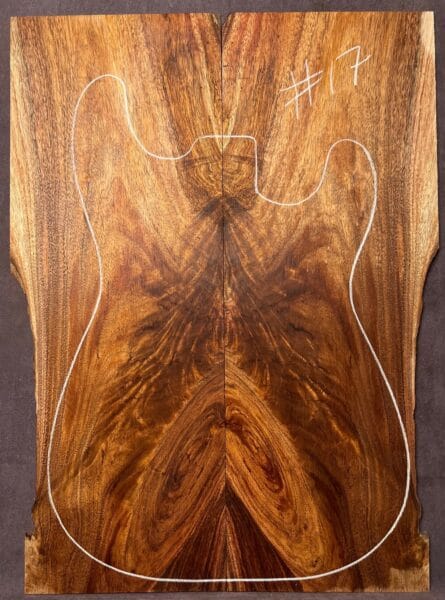 Blackwood Electric Guitar TOP