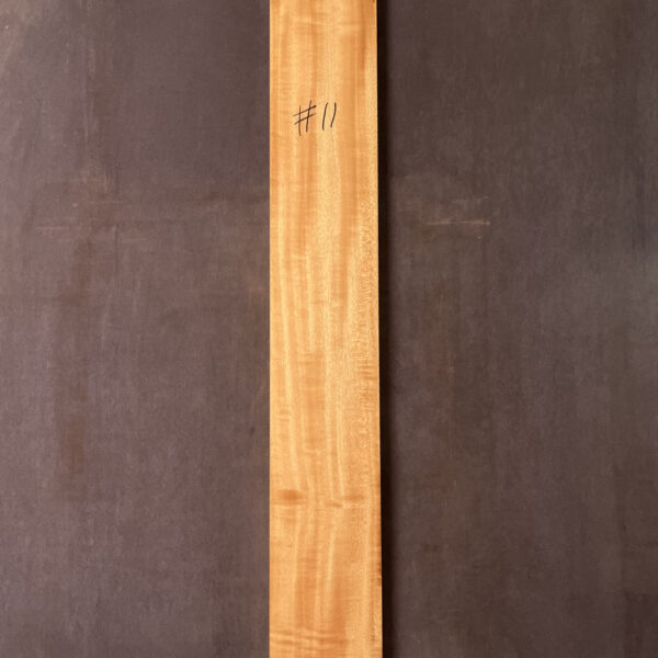 Queensland Maple Neck #11
