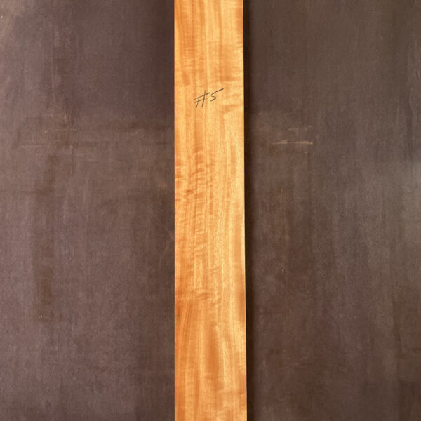 Queensland Maple Neck #5