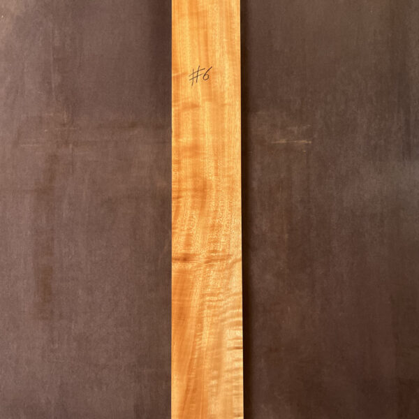 Queensland Maple Neck #6