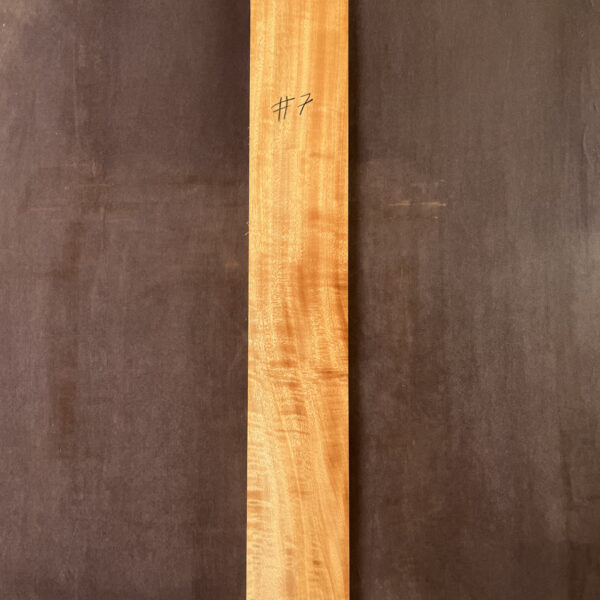 Queensland Maple Neck #7