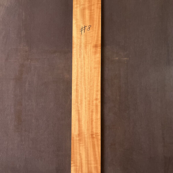 Queensland Maple Neck #8