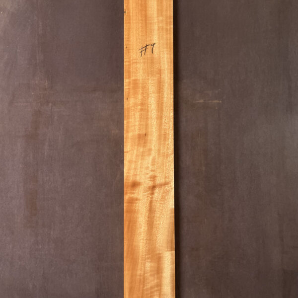 Queensland Maple Neck #9