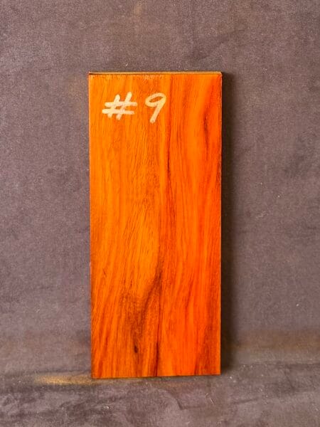 Acoustic Guitar Red Rosewood Bridge