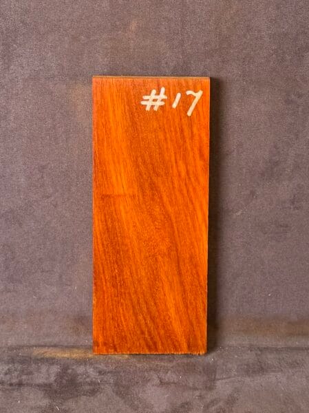 Acoustic Guitar Red Rosewood Bridge
