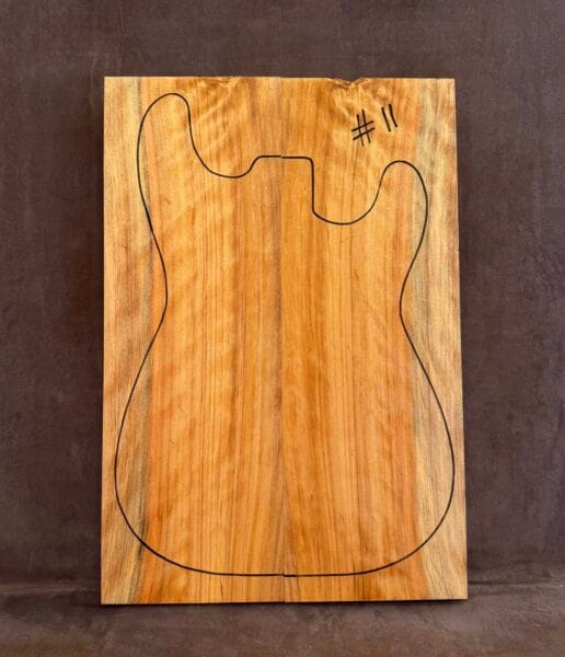 Swamp Cypress electric guitar solid body