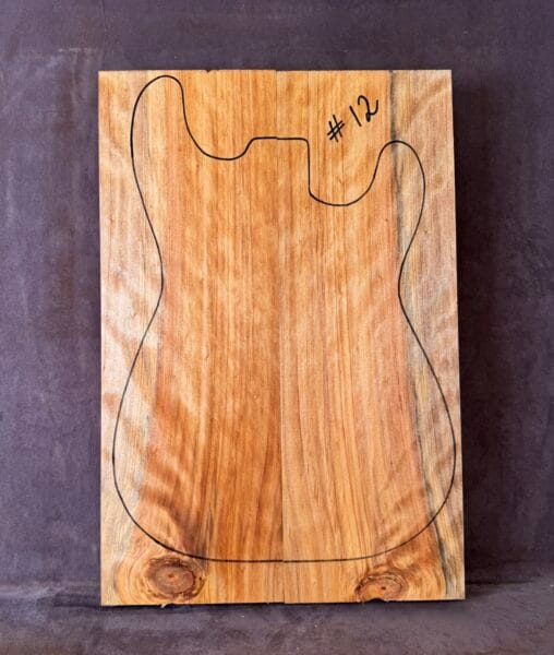 Swamp Cypress electric guitar solid body
