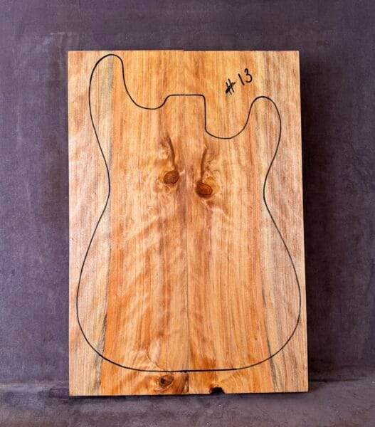 Swamp Cypress electric guitar solid body