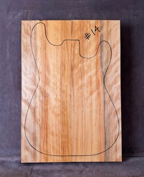 Swamp Cypress electric guitar solid body