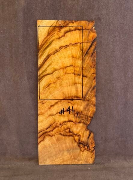 Guitar Camphor Laurel Headstock Veneer Tonewood