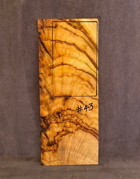 Guitar Camphor Laurel Headstock Veneer Tonewood