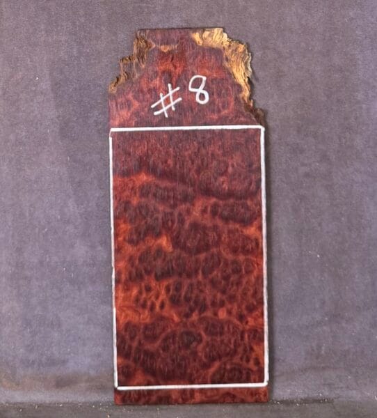 Guitar Headstock Veneer in Red Mallee Burl