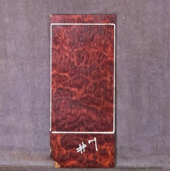 Guitar Headstock Veneer in Red Mallee Burl