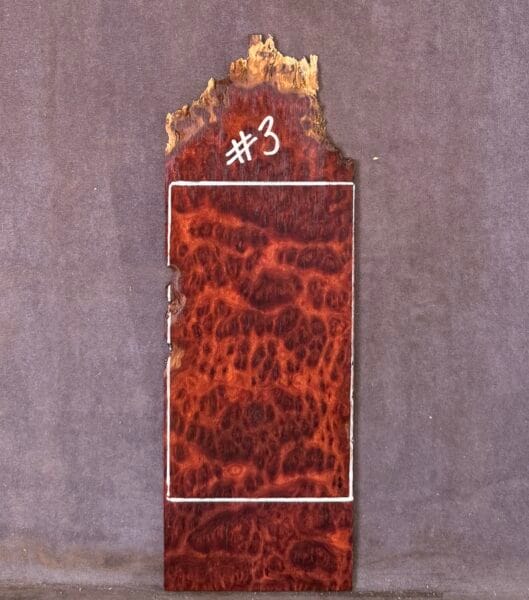 Guitar Headstock Veneer in Red Mallee Burl