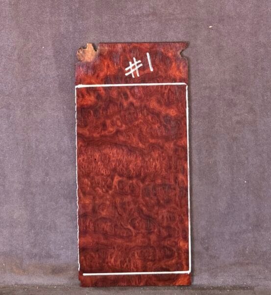 Guitar Headstock Veneer in Red Mallee Burl
