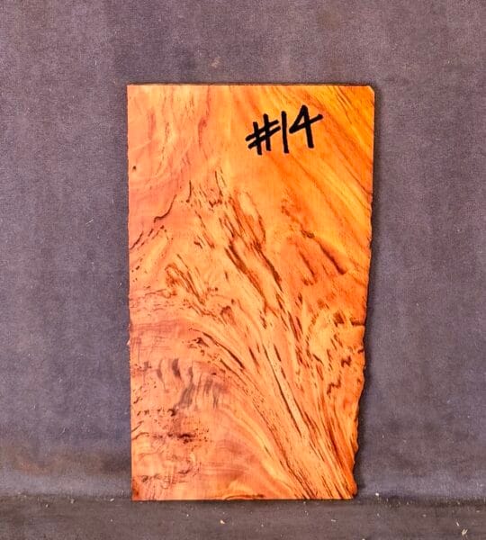 Guitar Headstock Veneer in Red Ash