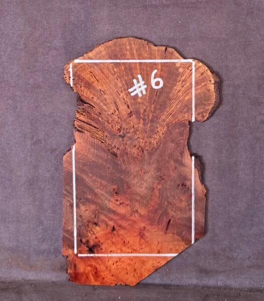 Acoustic and Electric Guitar Headstock Veneer