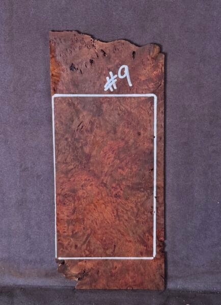Acoustic and Electric Guitar Headstock Veneer