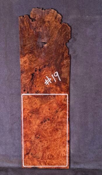 Acoustic and Electric Guitar Headstock Veneer