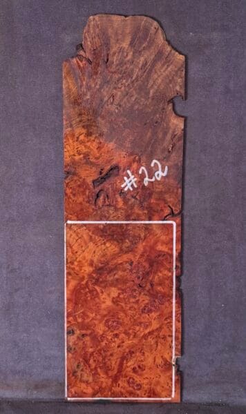 Acoustic and Electric Guitar Headstock Veneer