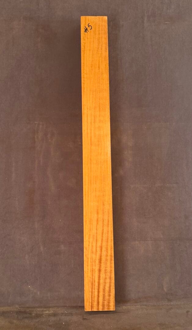 Bass Guitar Queensland Maple Neck