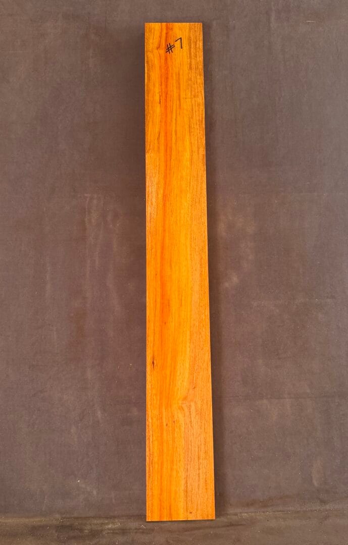 Acoustic or Electric Guitar Neck