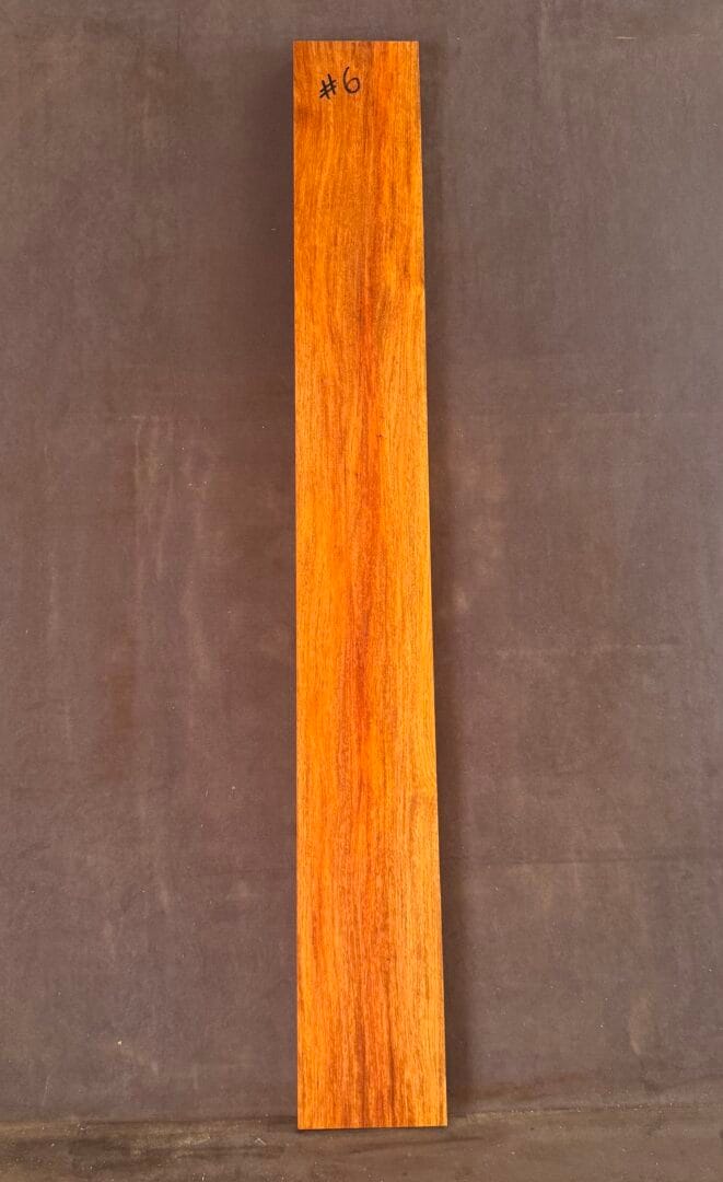 Acoustic or Electric Guitar Neck