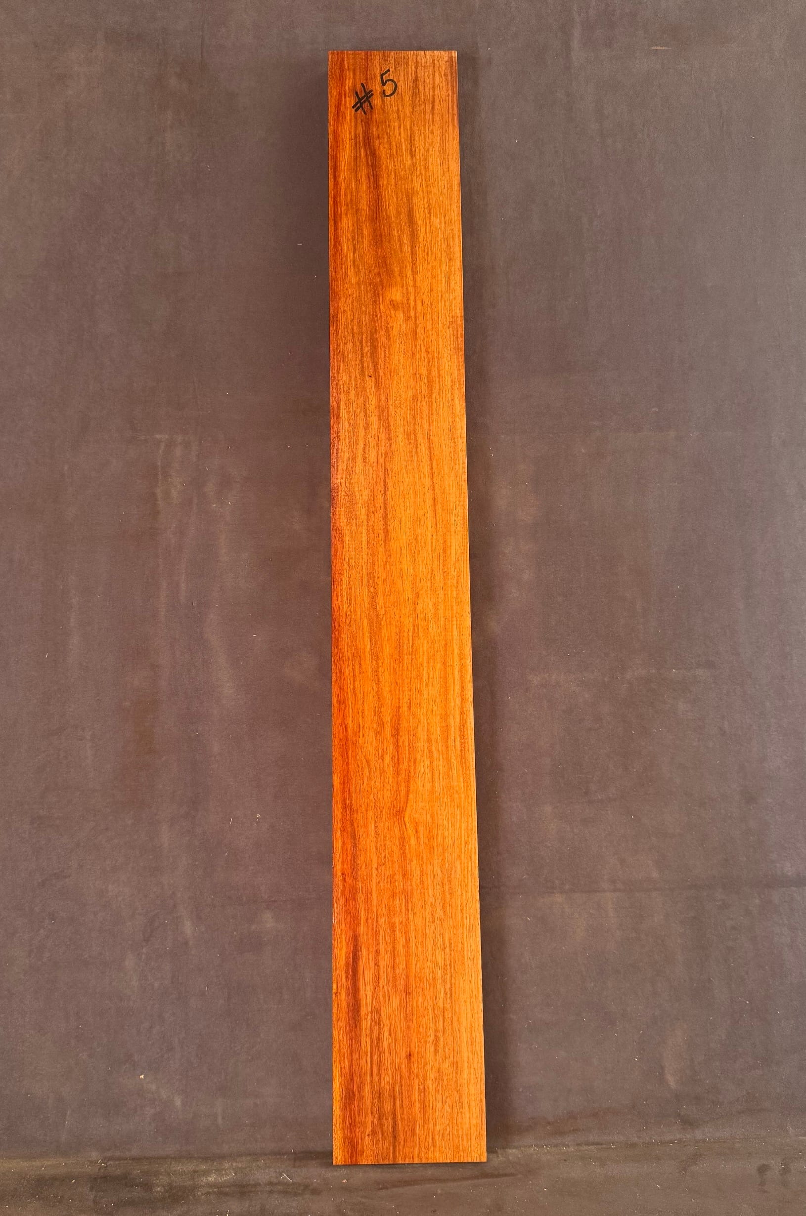 Acoustic or Electric Guitar Neck