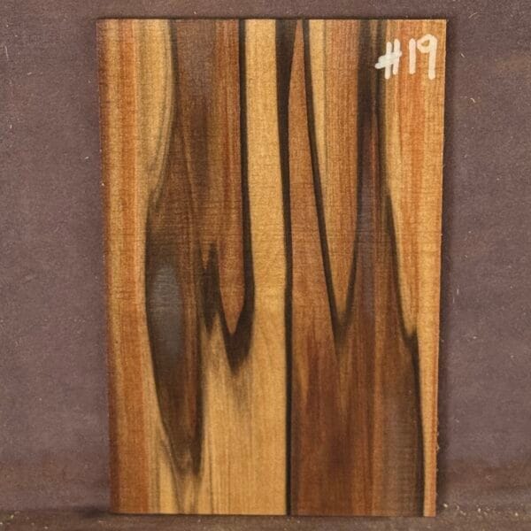 Blackheart Sassafras Guitar Headstock