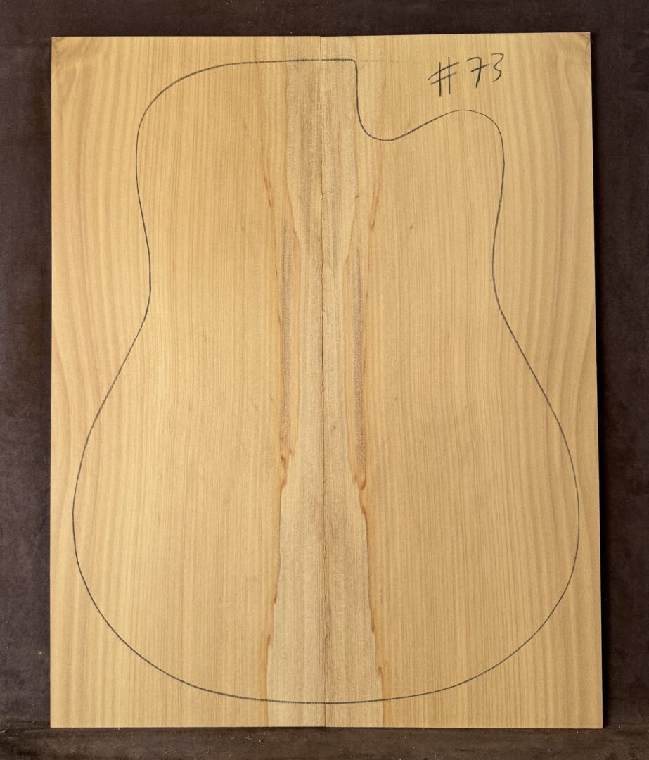 Acoustic guitar Bunya Pine Soundboard