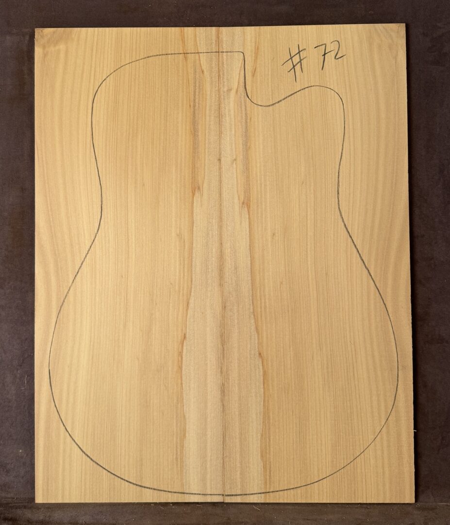 Acoustic guitar Bunya Pine Soundboard