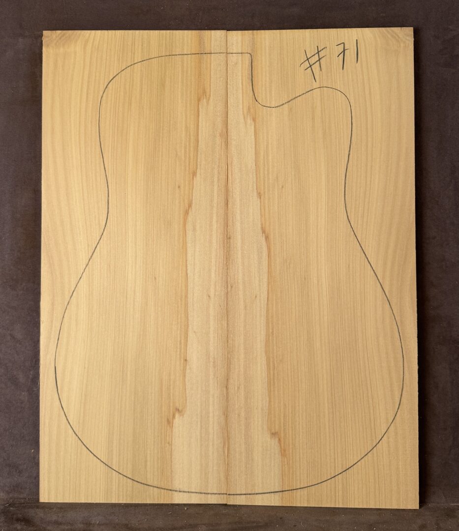 Acoustic guitar Bunya Pine Soundboard