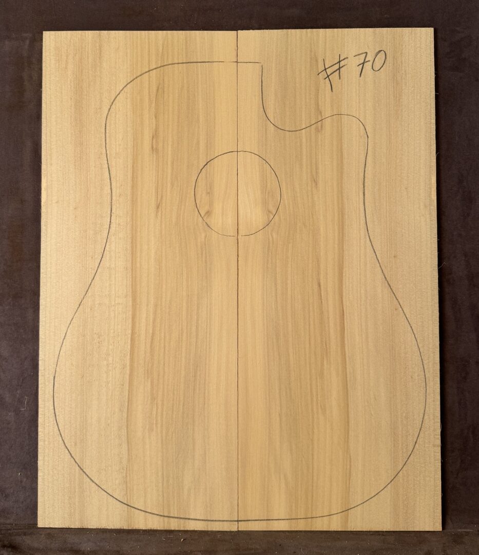 Acoustic guitar Bunya Pine Soundboard