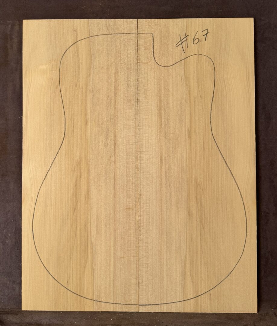 Acoustic guitar Bunya Pine Soundboard