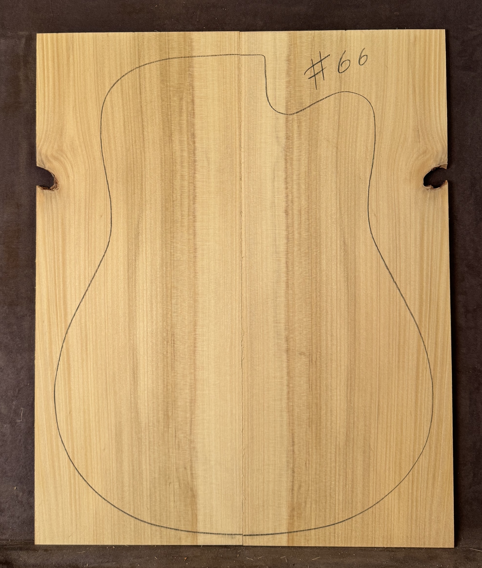 Acoustic guitar Bunya Pine Soundboard