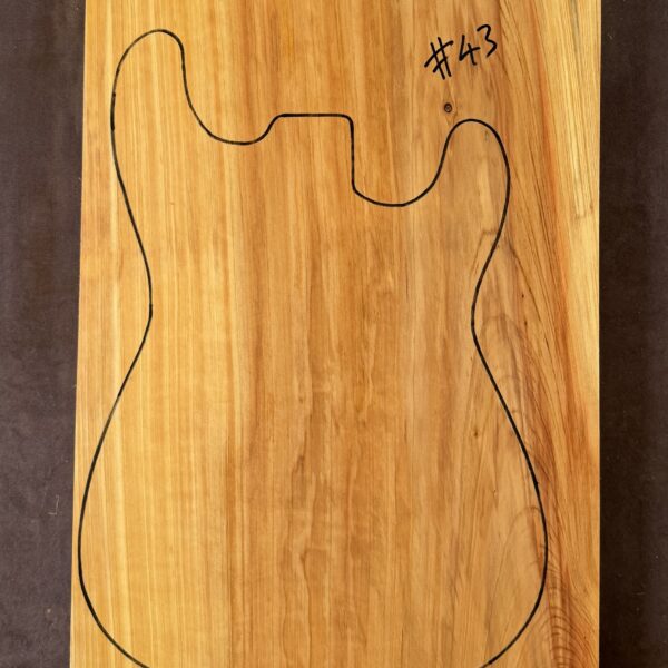 Electric Guitar Body Blank