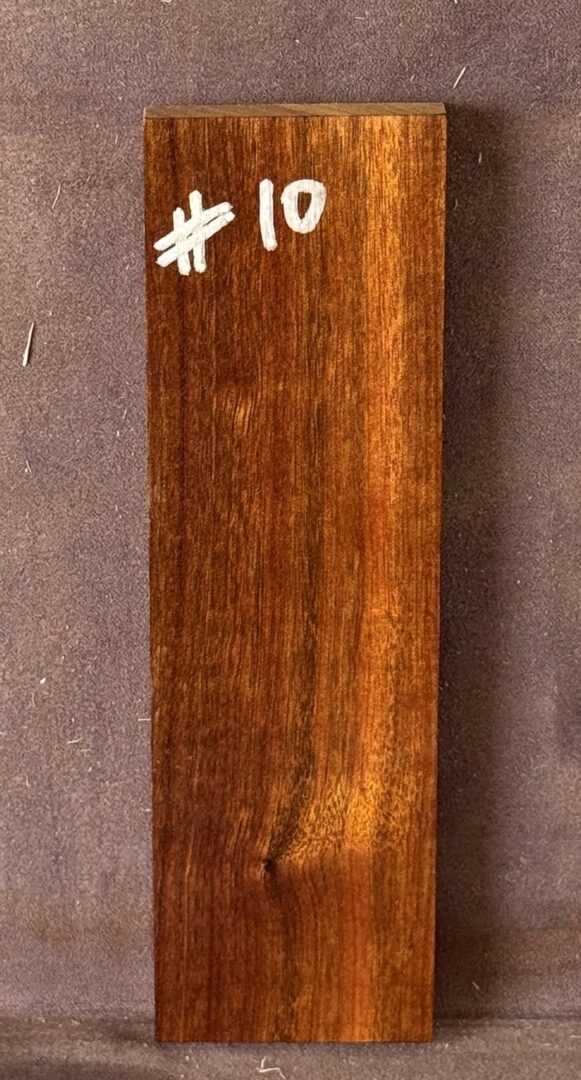 Acoustic Guitar Burdekin Plum Bridge