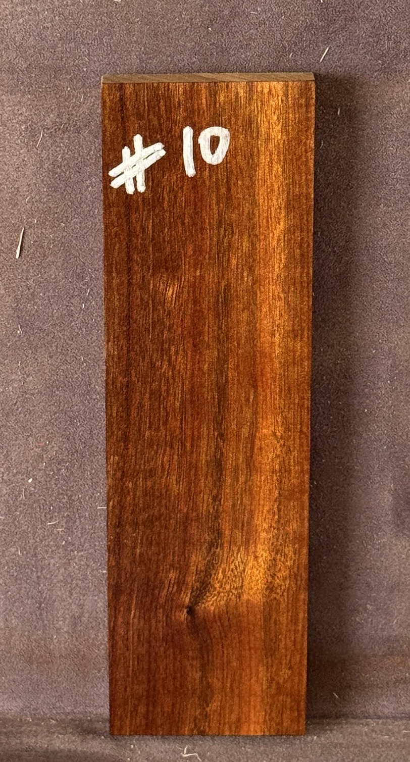 Acoustic Guitar Burdekin Plum Bridge