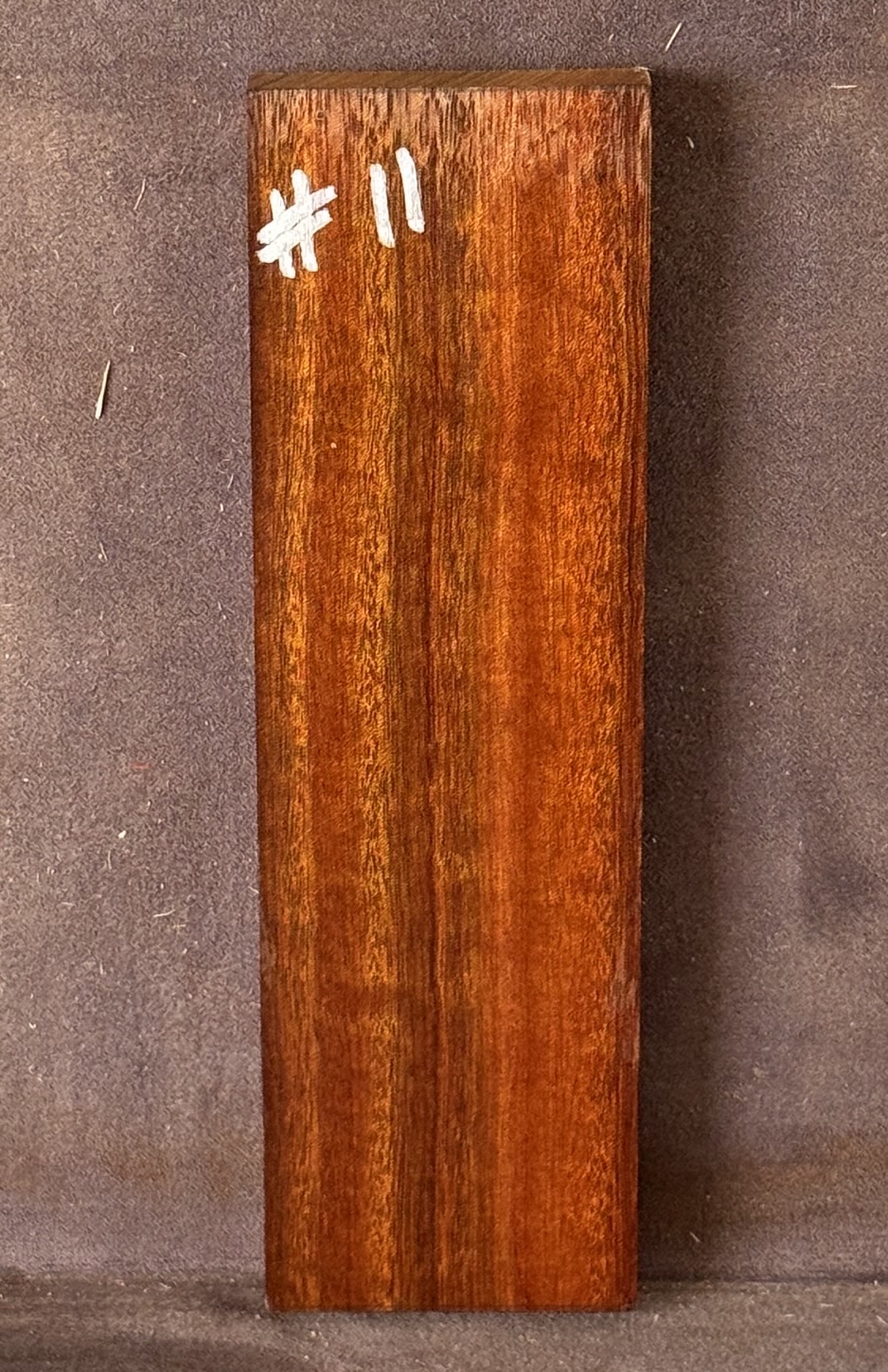 Acoustic Guitar Burdekin Plum Bridge