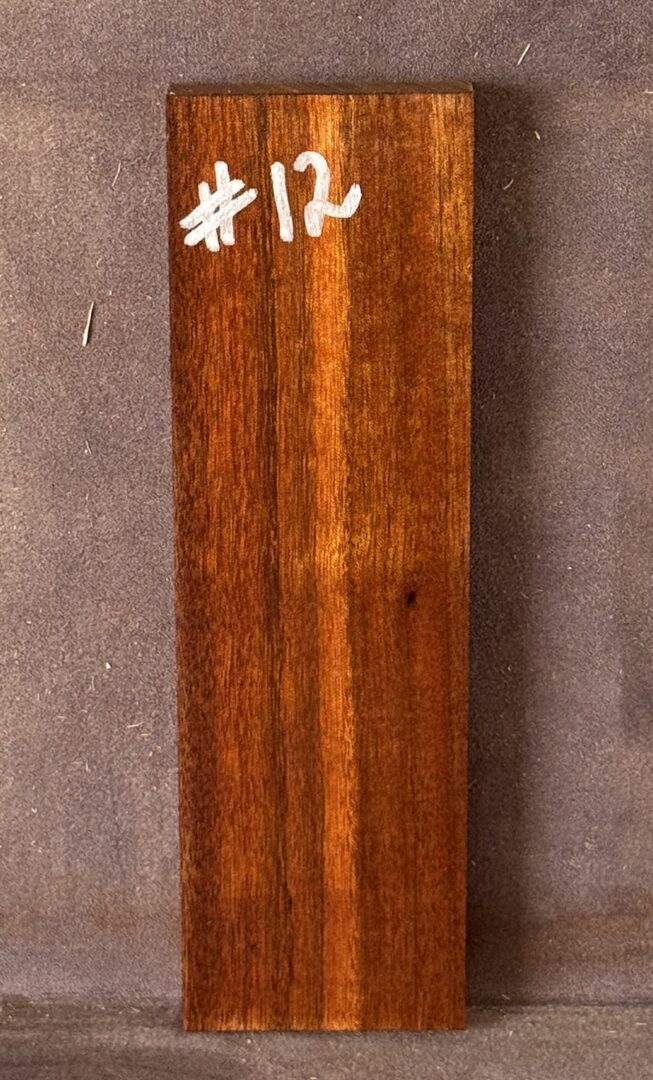 Acoustic Guitar Burdekin Plum Bridge