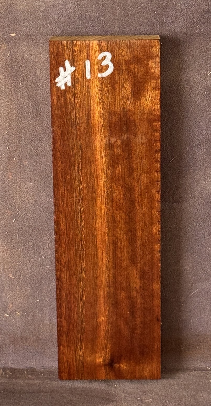 Acoustic Guitar Burdekin Plum Bridge