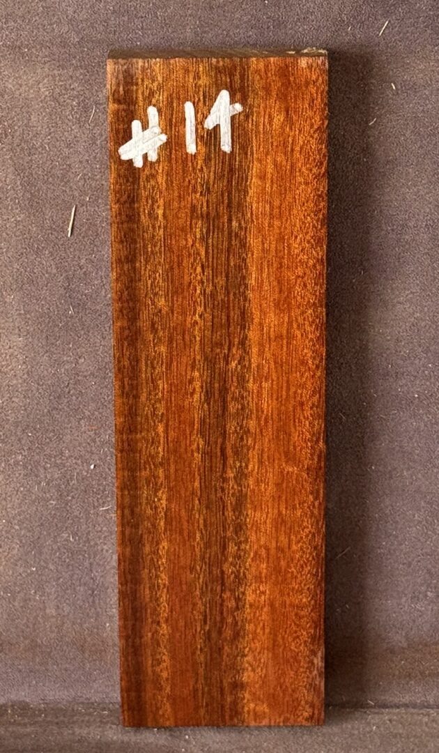 Acoustic Guitar Burdekin Plum Bridge