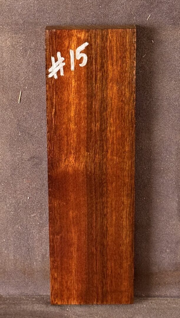 Acoustic Guitar Burdekin Plum Bridge