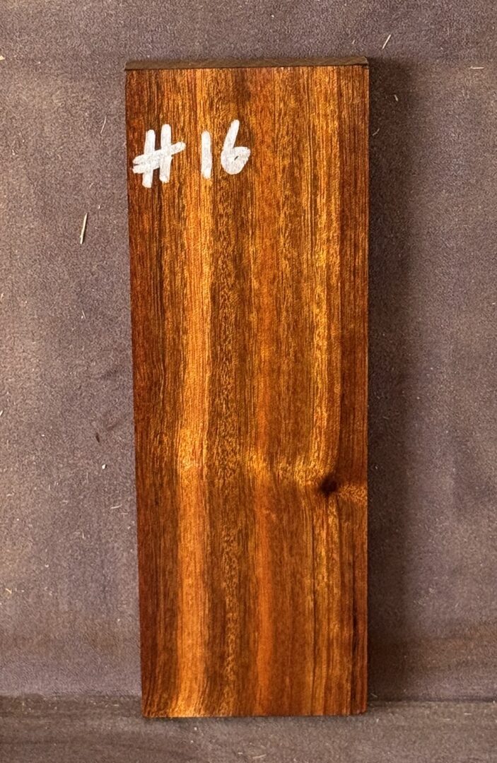 Acoustic Guitar Burdekin Plum Bridge