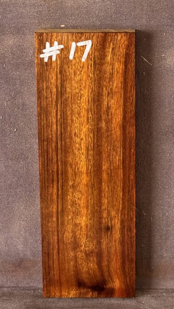 Acoustic Guitar Burdekin Plum Bridge
