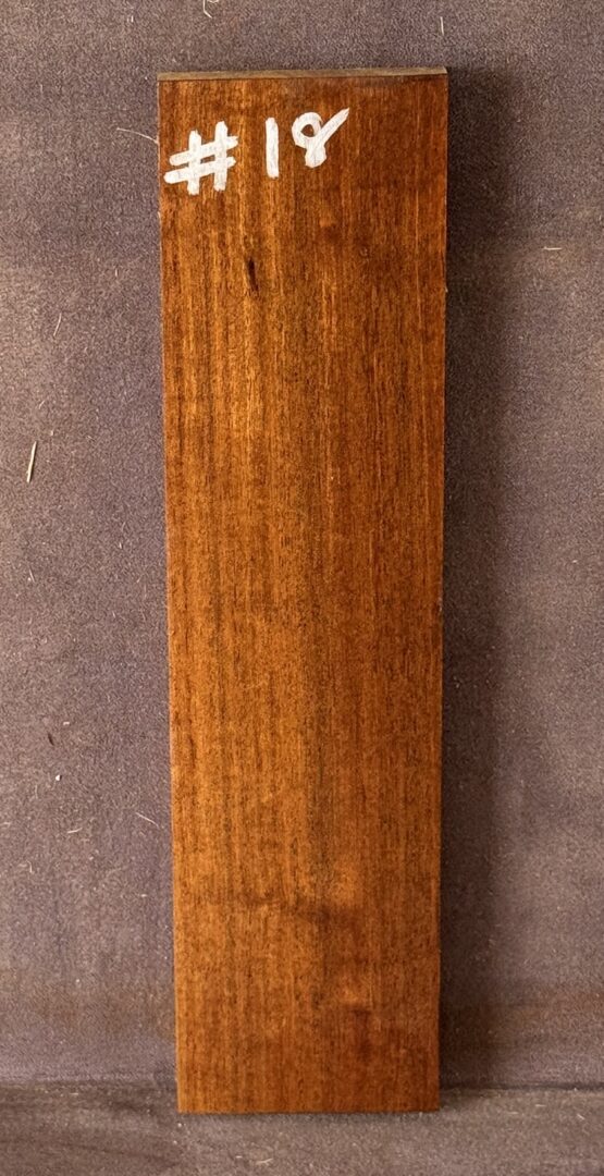 Acoustic Guitar Burdekin Plum Bridge
