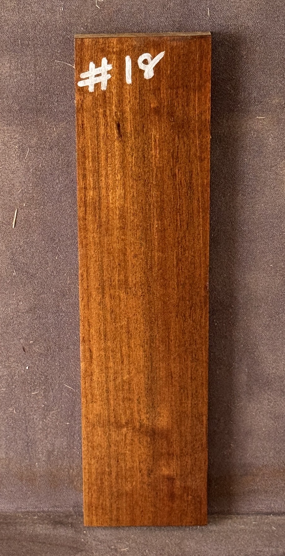 Acoustic Guitar Burdekin Plum Bridge