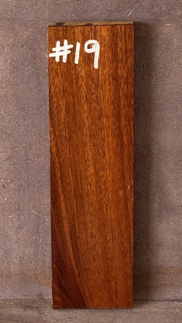 Acoustic Guitar Burdekin Plum Bridge