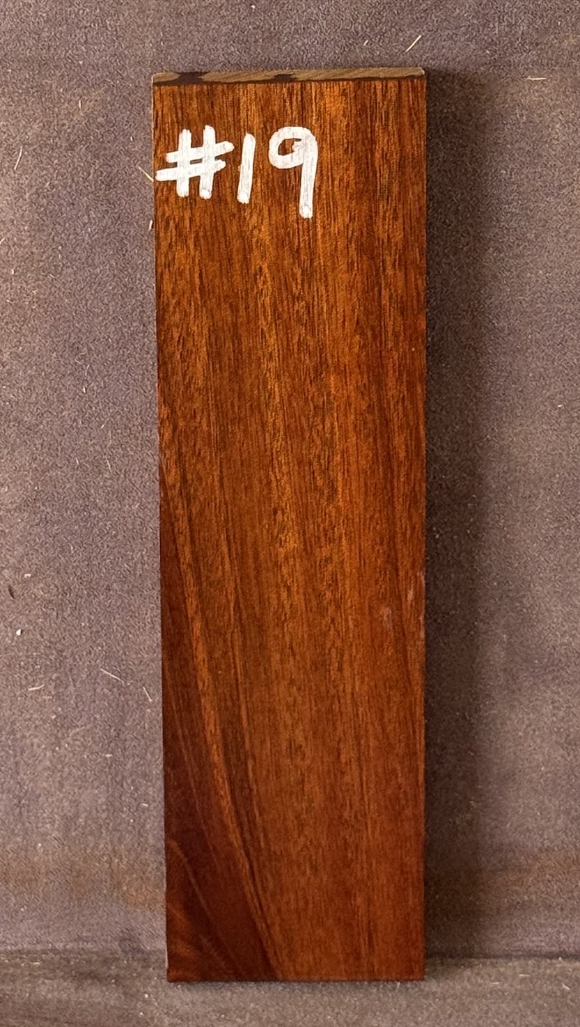 Acoustic Guitar Burdekin Plum Bridge