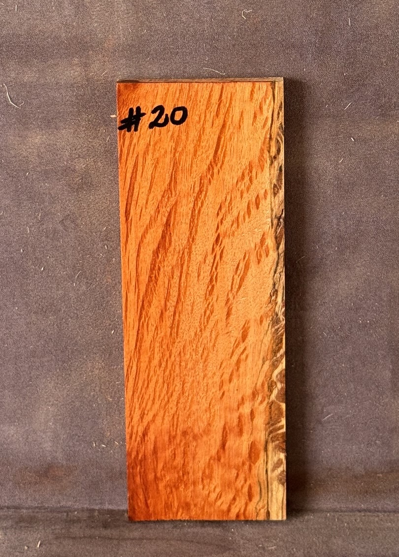 Quarter sawn, Rose Sheoak Bridge for Luthiery